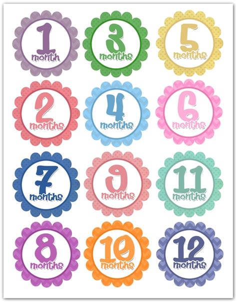Photo A Month Baby Onesies Free Printables How To Nest