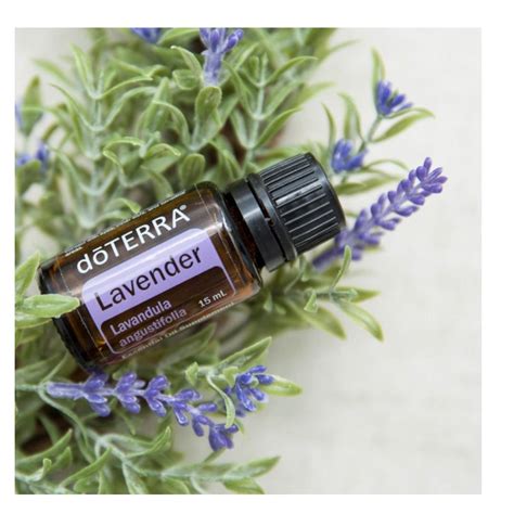 Doterra Lavender Essential Oil Simply Kids Wellness