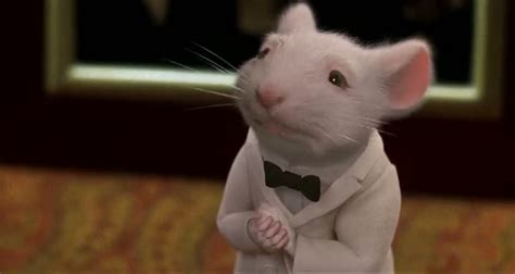 El Abismo Del Cine Las Mejores Películas De Ratas Y Ratones