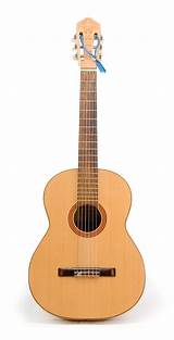 Acoustic Guitar Types Pictures