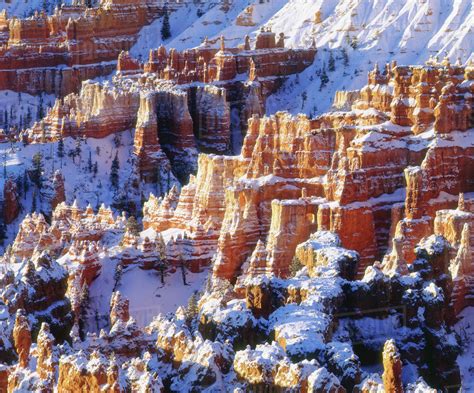 Usa Utah Bryce Canyon National Park Winter Snow On Sandstone