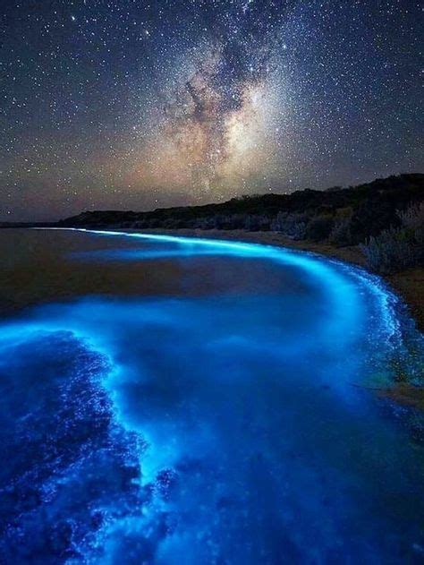 These Bioluminescent Beaches Look Fake—but Theyre 100 Real In 2019