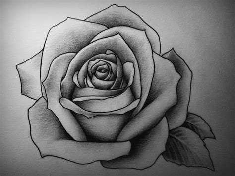 Try this free video directed drawing lesson. Attractive Rose Drawings | Design Trends