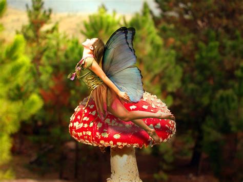 Mushroom Fairy By Deaddonkeysrule On Deviantart