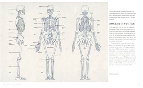 Basic Human Anatomy An Essential Visual Guide For Artists On Galleon