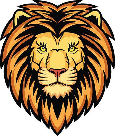 Royalty Free Lion Face Clip Art Vector Images And Illustrations Istock