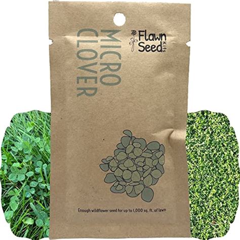 Top Best Micro Clover Seed Reviews