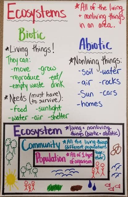 Ecosystem Anchor Chart Science Pinterest Anchor Charts Chart And Vrogue