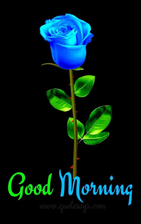 Good morning sunday, good morning happy sunday , sunday wishes, happy sunday pic, good morning sunday images for whatsapp best wishes to all friends for you friday. Good Morning Flower in 2020 | Good morning flowers ...
