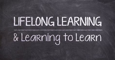 Lifelong Learning Vector Solutions