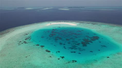 Alifu Dhaalu Atoll Maldives Youtube