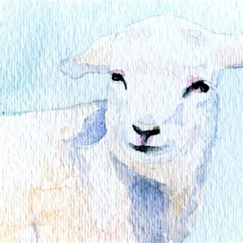 Lamb Watercolor Painting Print Giclee Print 7 X 5 Etsy