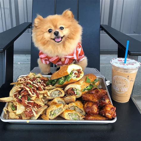 Includes a detailed review and how do i know if my puppy is a large breed? Eat Bite Mi- Long Beach #dog #foodie #cute #hungry #omg # ...