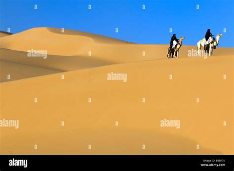 Tuaregs Riding Camels Libyan Arab Jamahiriya Libyan Desert Stock Photo Alamy
