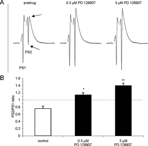 D 3 receptor activation disinhibits CA1. A, pairs of PS ...