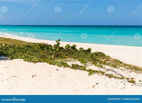 Varadero Beach Stock Image Image Of Nature Paradise 60209361