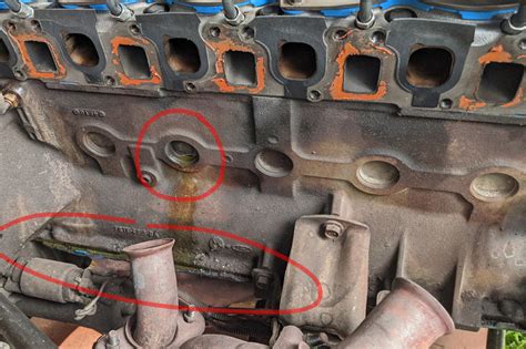 Freeze Plug Leak Ford F150 Forum