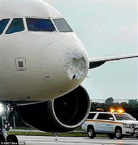 Bird Strike Completely Caves In The Nose Of A Plane The News Beyond