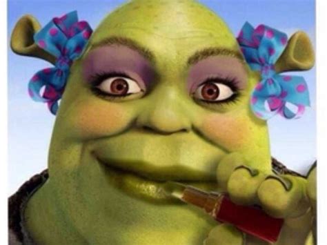 Shrek Meme Face Discover More Interesting Animation Anime Animeted