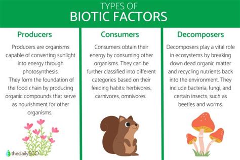 Biotic Factors Definition Characteristics Classification And Examples
