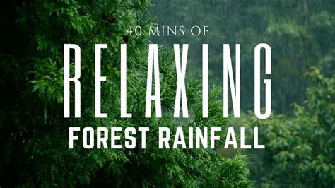 40 Minutes Of Rain Forest Rainfall Relaxation Meditation Beautiful