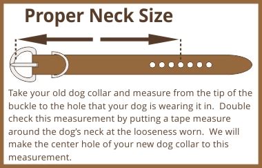 For a proper fit measure around your dogs neck for a collar and for a harness measure around their chest and allow for a few fingers of play for comfort. Plain Tough Leather Dog Collar 1 3/4" wide - Leathersmith ...