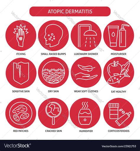 Eczema Symptoms And Treatment Icon Set In Line Vector Image