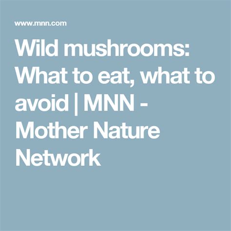Wild Mushrooms What To Eat What To Avoid Mnn Mother Nature