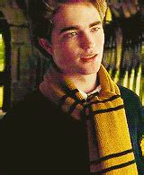 Make your hp memes using www.whatdoumeme.com =). harry potter gifs robert pattinson cedric diggory fmc ...