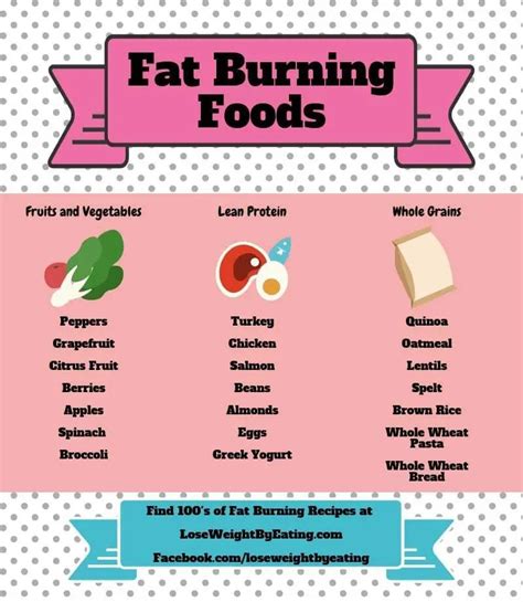 A Beginners Guide To Losing Body Fat Diet Meal Plan To Lose Body
