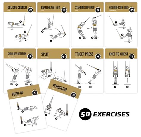 Suspension Workout Cards Recently Premiered By Newme Fitness