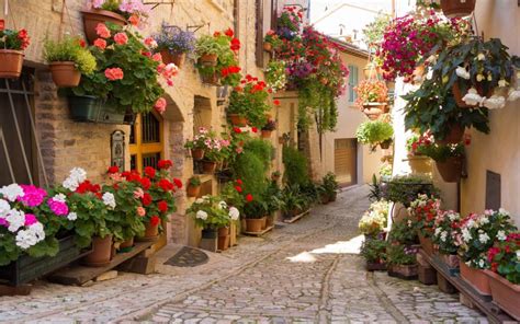 Street With Flowers Wallpaper Architecture Wallpaper Better
