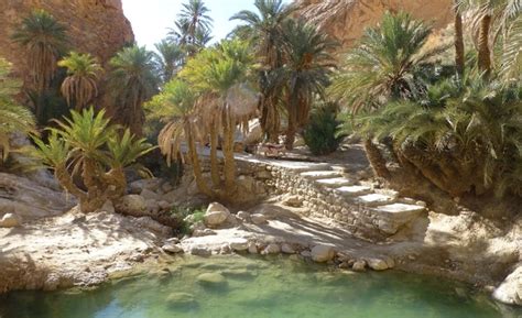 تونس واجهة سياحية ساحرة سرد تونس سياحة معالم أثرية سياح تونس الخضراء