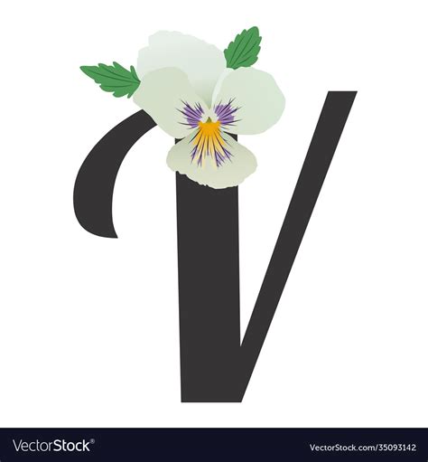 Letter V English Flower Alphabet Royalty Free Vector Image