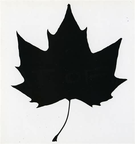 Free Maple Leaf Silhouette Download Free Maple Leaf Silhouette Png