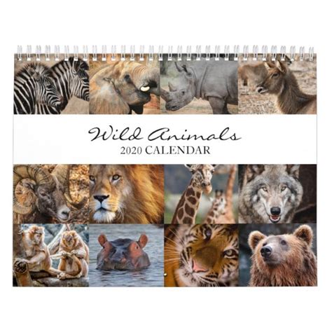 2020 Wild Animals Calendar Office Calendar
