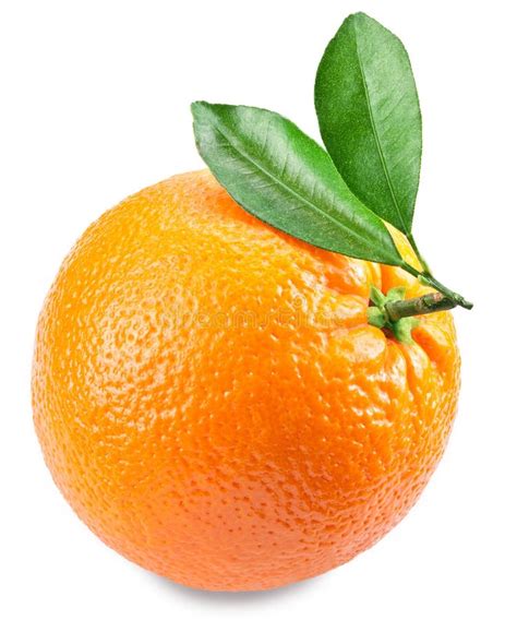 Orange With Leaves Isolated On A White Background Stock Image Image