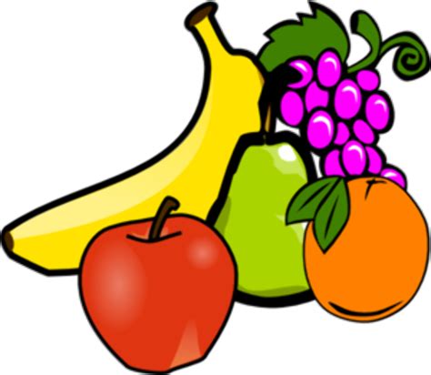 Download High Quality Fruit Clipart Vector Transparent Png Images Art