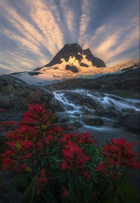 Landscape Lunacy Coast Mountains British Columbia By Marc Adamus