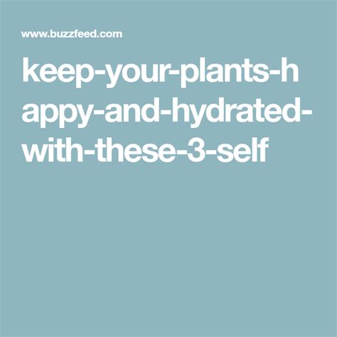 Keep Your Plants Happy And Hydrated With These 3 Self Watering Hacks