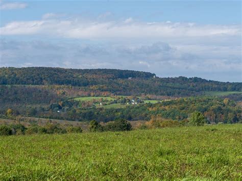 Upstate Farm Land Sale Land For Sale By Owner In Sharon Springs