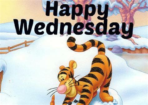Best 25 Happy Wednesday Meme To Share - Erica Gray - Medium