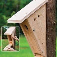 Bluebird house plans, plans include a free pdf download, material list, drawings, and instructions. Birdhouse ideas: 10 different diy birdhouse plans and ...