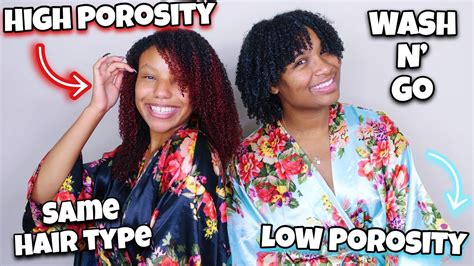Awasome Difference Between High And Low Porosity Hair 2022
