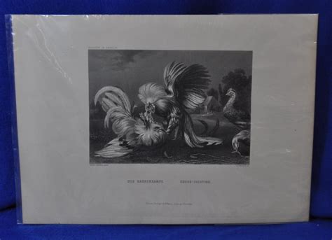 Museum Print Cocks Fighting By Frans Snyders Xz