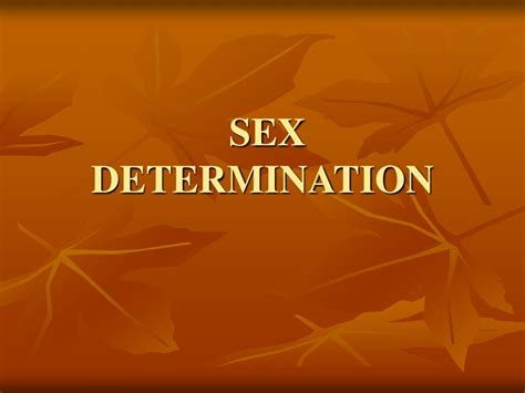 Ppt Sex Determination Powerpoint Presentation Free Download Id6130055