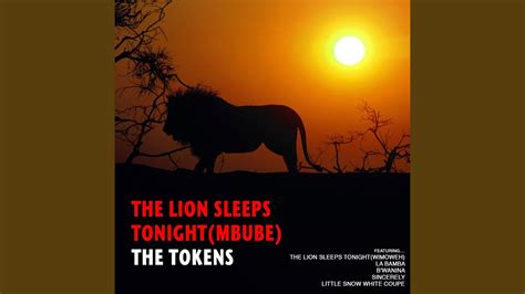 The Lion Sleeps Tonight Wimoweh Youtube