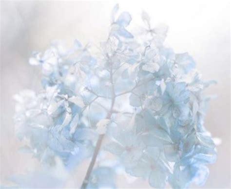 ☁️ Pastel Blue Aesthetics ☁️ Wiki Símply Aesthetíc Amino