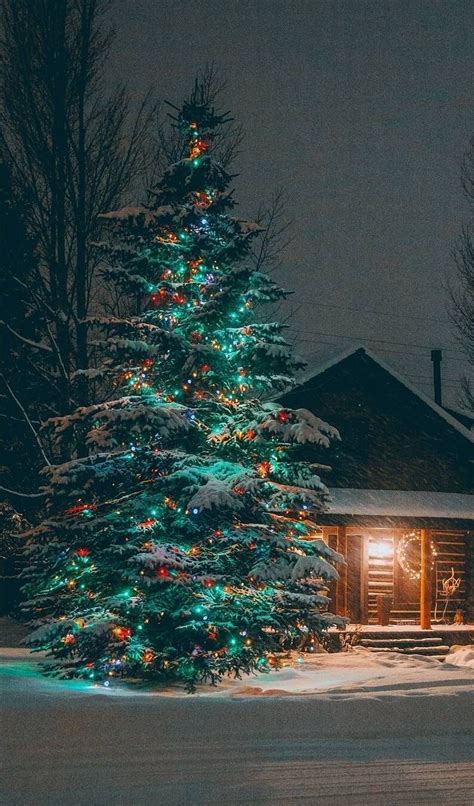 42 Amazing Christmas Lights Tree Decoration Ideas Pimphomee
