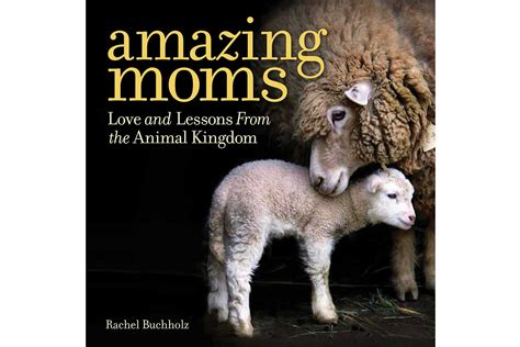 National Geographic Photos Of Baby Animals And Their Moms Readers Digest